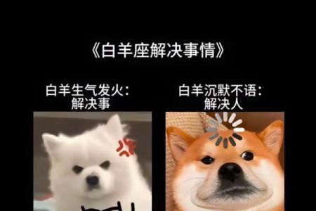 为什么白羊座叫泰迪星座