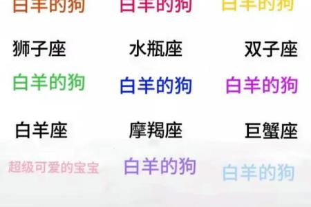 12星座怎么变得最受欢迎