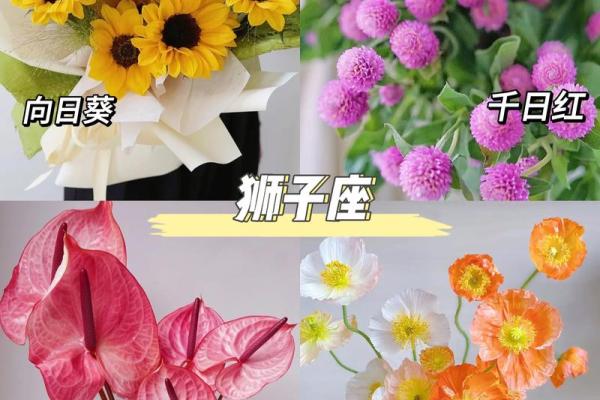 十二星座适合什么的花朵