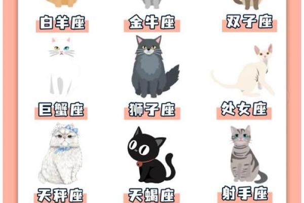 每个星座都有自己专属的猫吗