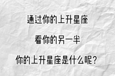 什么星座适合辩论赛的人