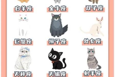 每个星座都有自己专属的猫吗