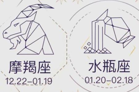 摩羯水瓶座适合和哪个星座谈恋爱男