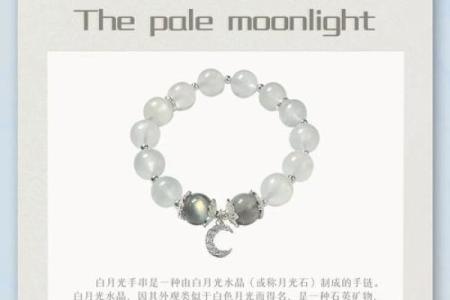 白月光适合什么星座