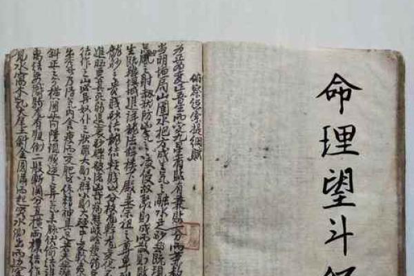 数斗算命