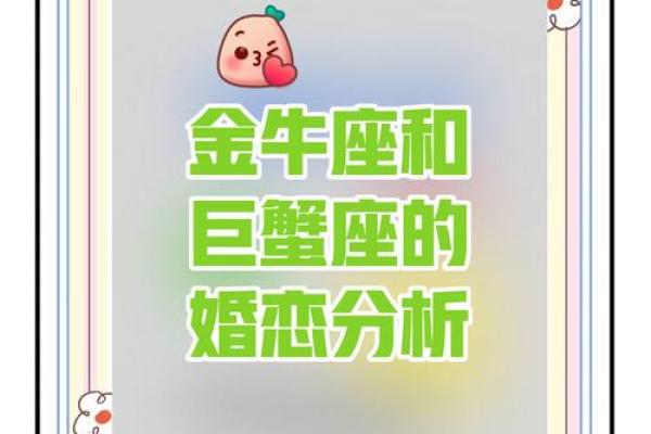 金牛女和金牛男配对指数分析