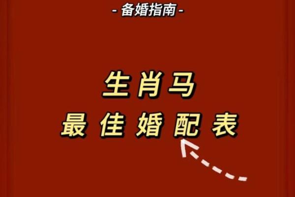 马跟什么生肖配对最好 生肖马最佳配对