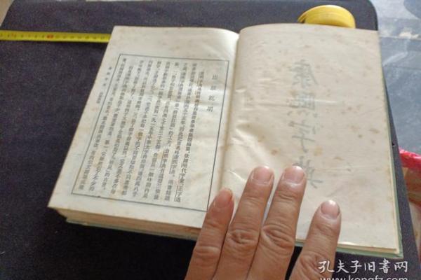 “精字典”：一本收录千万精彩含义的百科全书