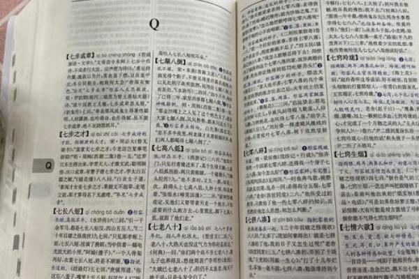 “精字典”：一本收录千万精彩含义的百科全书