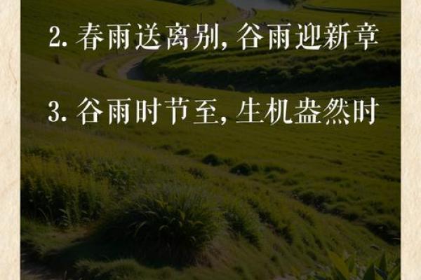 谷雨有什么民俗 谷雨的四言绝句