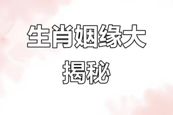 属相配对测试