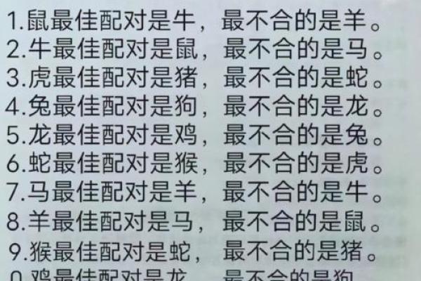 属鼠的女人和什么属相最配对 属鼠的女人和什么属相最配婚姻