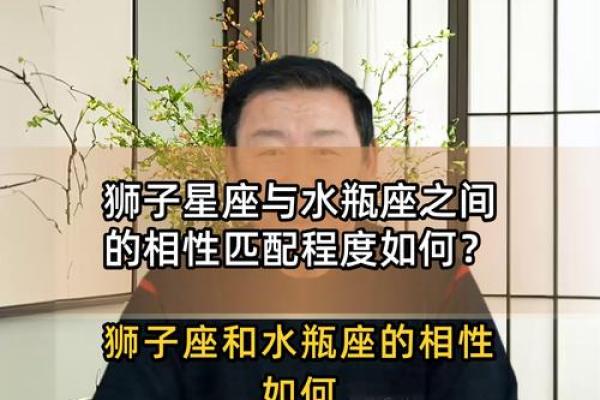 水瓶座和狮子座配对指数 水瓶座和狮子座适合做夫妻吗