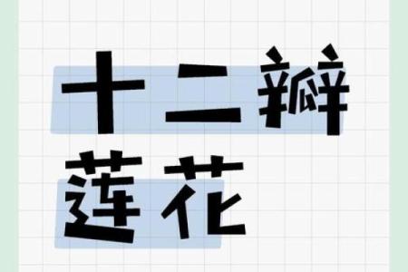 十二星座适合什么花最有灵性和灵性