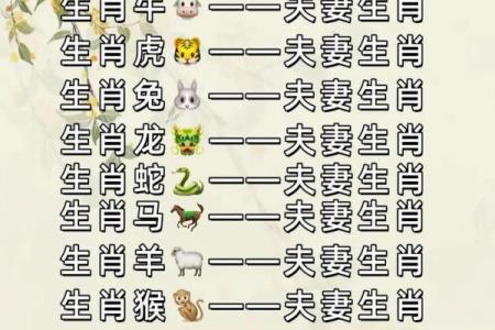 有助男人事业运的生肖配对