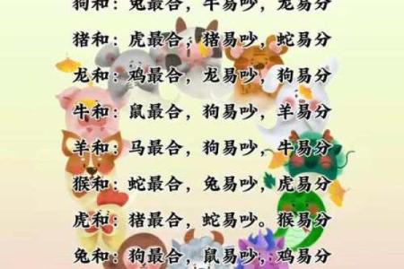 姓名配对属相查询网 姓名配对大全？