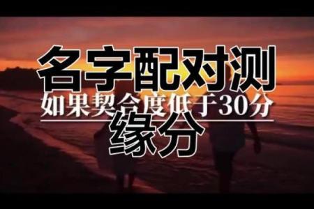 计算出姓名配对 测姓名匹配度？