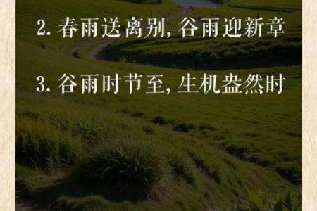 谷雨有什么民俗 谷雨的四言绝句