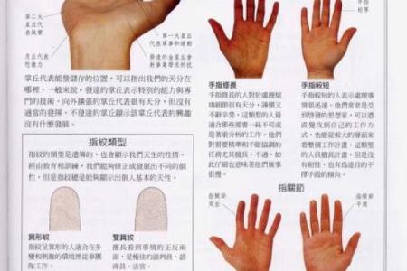 《手相学习百科》：手的轮廓特征