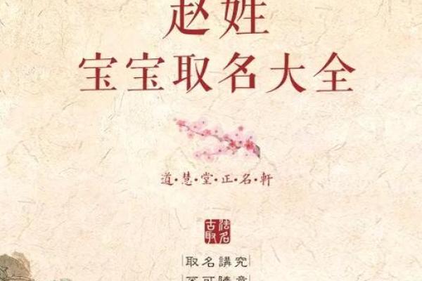 赵字姓名图像配对大全男 赵字好名字？
