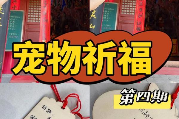 2024年农历10月祈福吉日查询,哪几天可以祈福