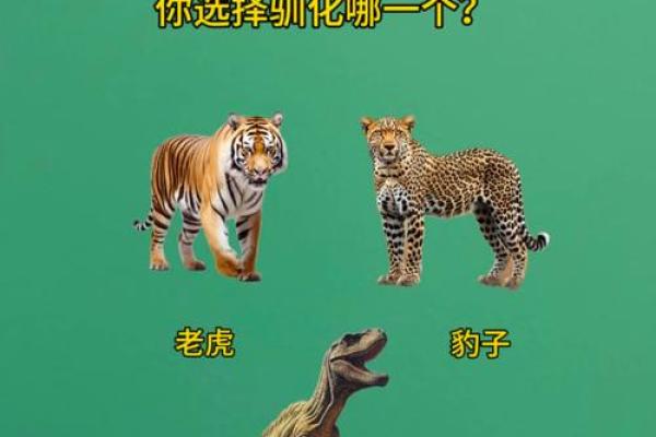 测试双方姻缘