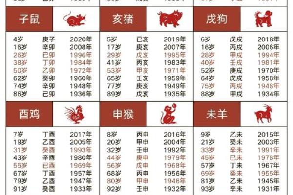 十二生肖配对 揭秘十二生肖旺财养对旺财宠物