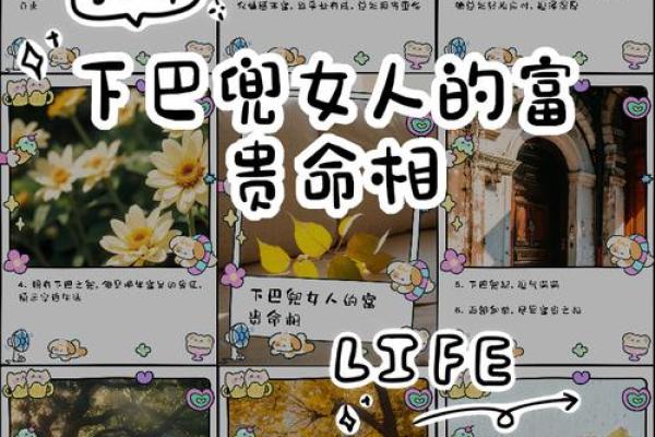 算命命中有几个子女 子女运跟下巴饱满有关