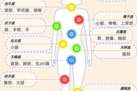 十二星座最诱人部位 哪里最迷人