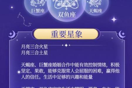 十二星座12月9日星期四运势