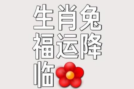 生肖兔今日运势歪歪乐星座