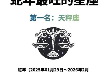 12星座有天瓶座吗