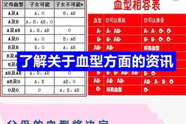 智商高的血型有哪些呢