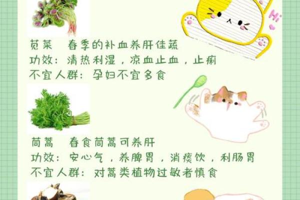 惊蛰节气的养生知识 惊蛰节气的民俗民风有哪些