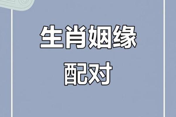 哪个属相夫妻配对好？这5对简直绝配，在一起就不会分开