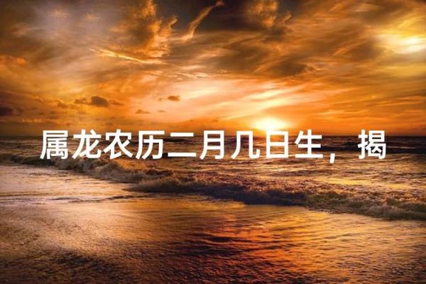 属龙是哪一年出生的 属龙的男孩出生吉日