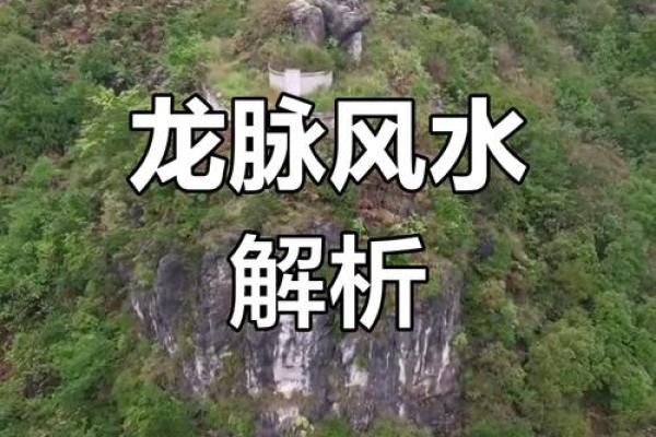 风水山_每座山都有龙脉吗
