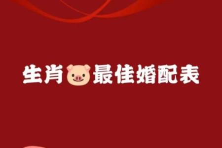属猪正缘出现在哪年 属猪人婚姻配对表