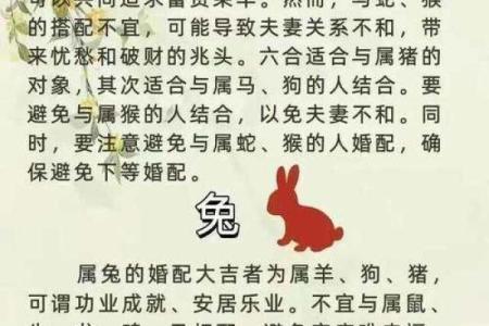 12生肖佳姻缘配对