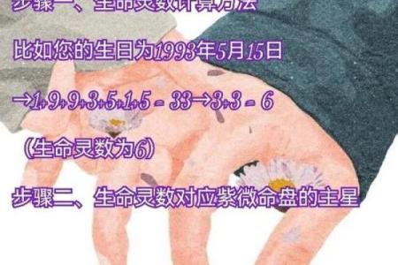 生命灵数5和几配对