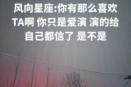 管你什么风什么雨 总是巍然不动的星座