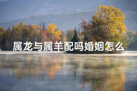 羊姻缘 羊姻缘配对？