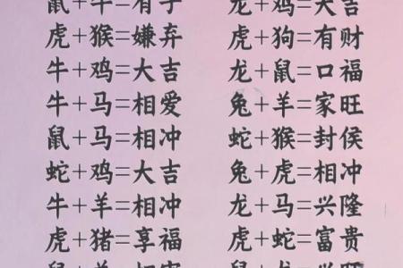 龙生肖配对大揭秘，十二生肖知识详解