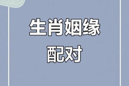 哪个属相夫妻配对好？这5对简直绝配，在一起就不会分开