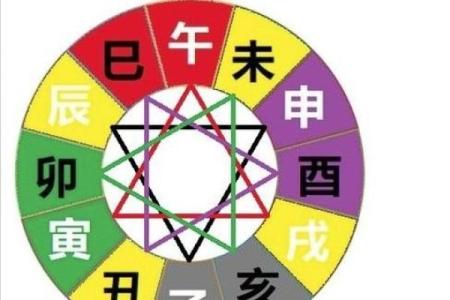 八字地支合