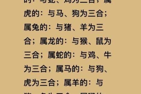 鼠属十二生肖之首黄金配对无人敌