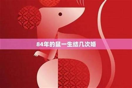 办公桌属相的最佳方位：生肖与办公桌朝向