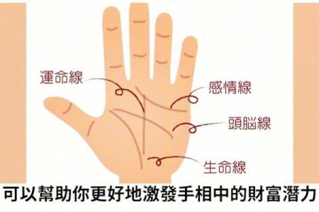 《手相学习百科》：手的形状
