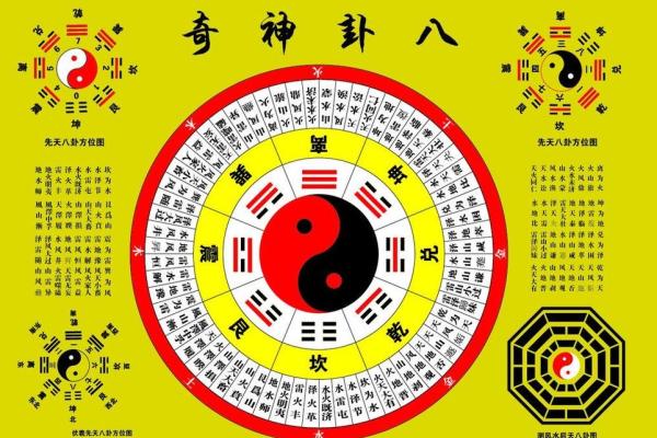 商业：办公养花风水与五行八卦