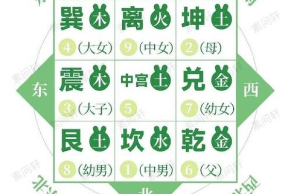 商业：办公养花风水与五行八卦
